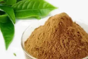 茶叶深加工 从传统饮品到多元化产品的创新之旅