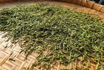 蒙顶之巅理真甘露 探寻传统工艺与现代品味的完美交融